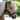 Leren halster
