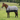Couverture de pluie MHS Safari avec polaire