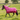 MHS Coperta Invernale Jessy 300 grammi con Collo Rimovibile